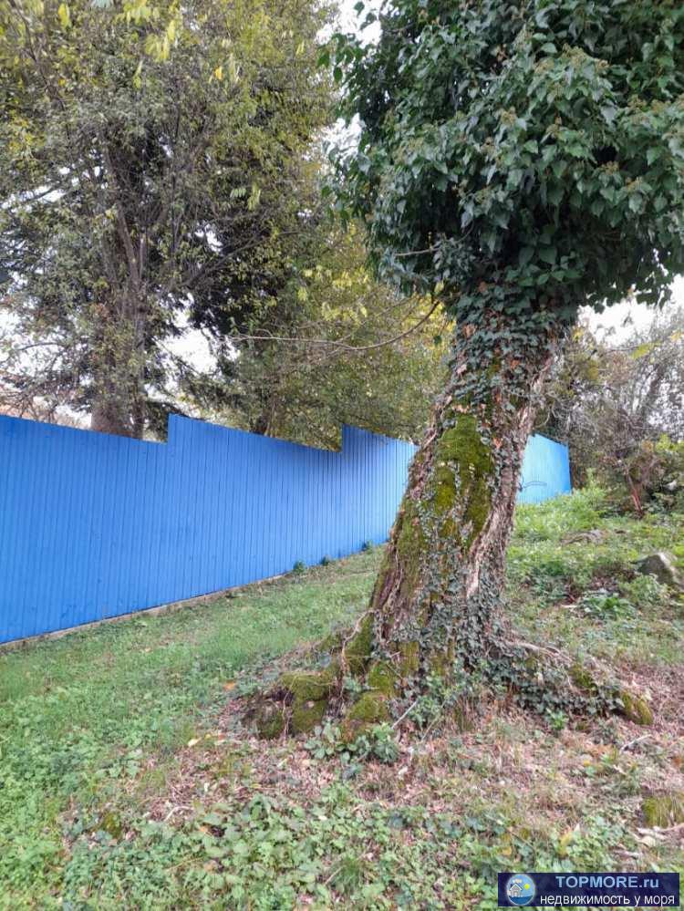 Лот № 173527. В продаже частный дом в самом живописном районе города Сочи!   Здесь есть всё, что необходимо для... - 1