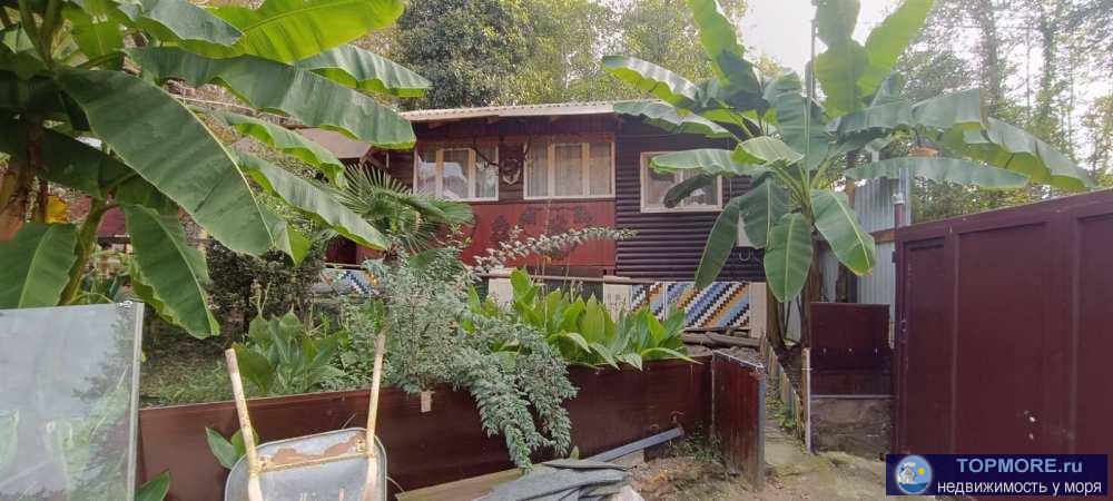 Лот № 172273. Продается дом в тихом, живописном месте. Главные преимущества этого дома это отсутствие соседей, своя... - 1