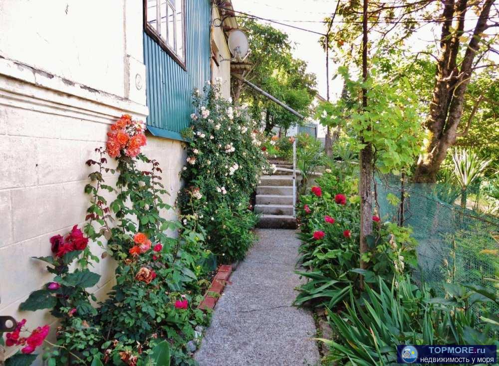 Лот № 164141. осуществи свою мечту! домик У моря!  В продаже два дома с шикарным видом на море! Придомовая территория... - 1