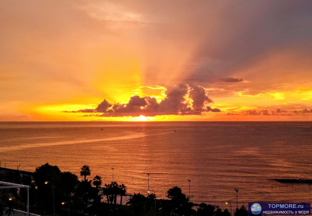 Лот № 187817. Продаю квартиру в новом комплексе бизнес-класса Кислород! Акция до 30 июня.Реальная цена! Срочная... - 1