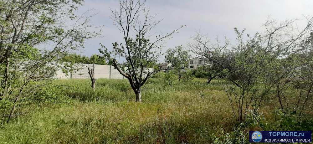 Большой участок 8,1 сотки в жилом СТ Мрия на Фиоленте. Участок ровный, правильной формы, делится на 2 при желании....