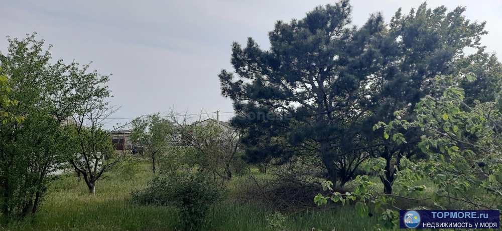 Большой участок 8,1 сотки в жилом СТ Мрия на Фиоленте. Участок ровный, правильной формы, делится на 2 при желании.... - 2