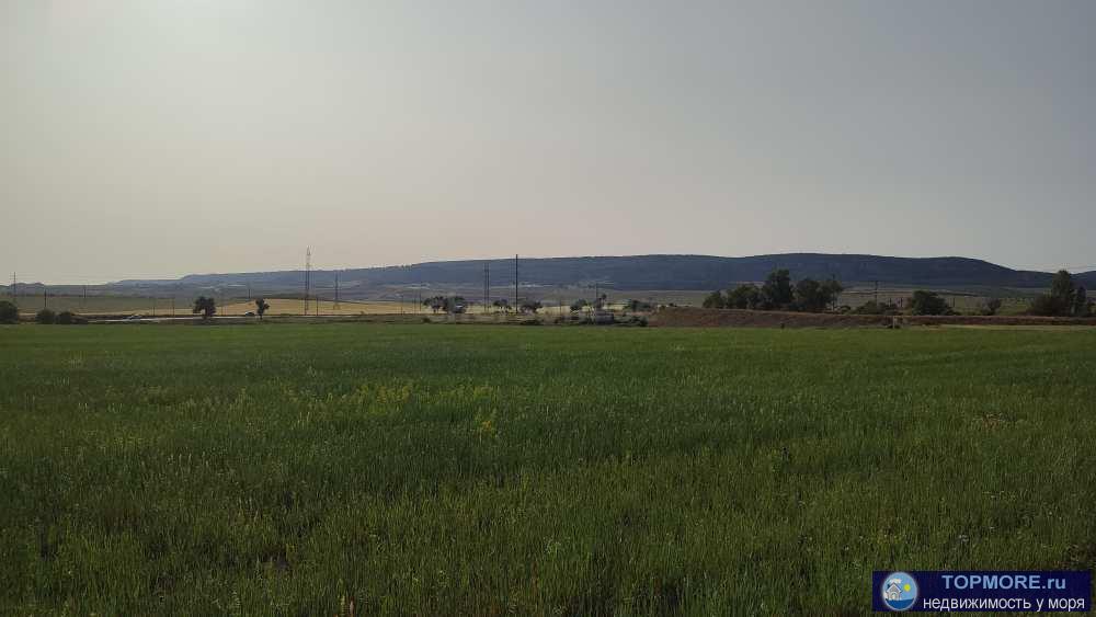 Предлагаем к продаже отличный сельхоз участок 3,3 га в Бахчисарайском районе!  Второй участок от асфальтированной... - 1