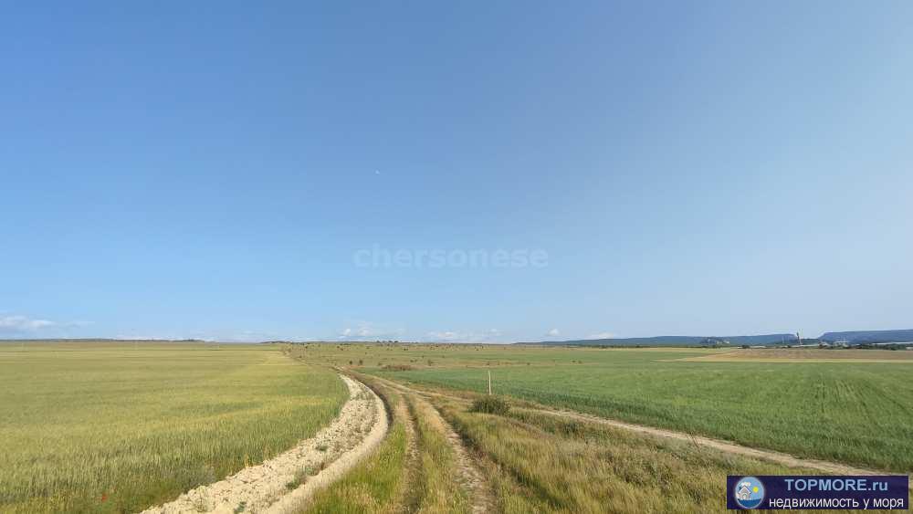 Предлагаем к продаже отличный сельхоз участок 3,3 га в Бахчисарайском районе!  Второй участок от асфальтированной... - 2