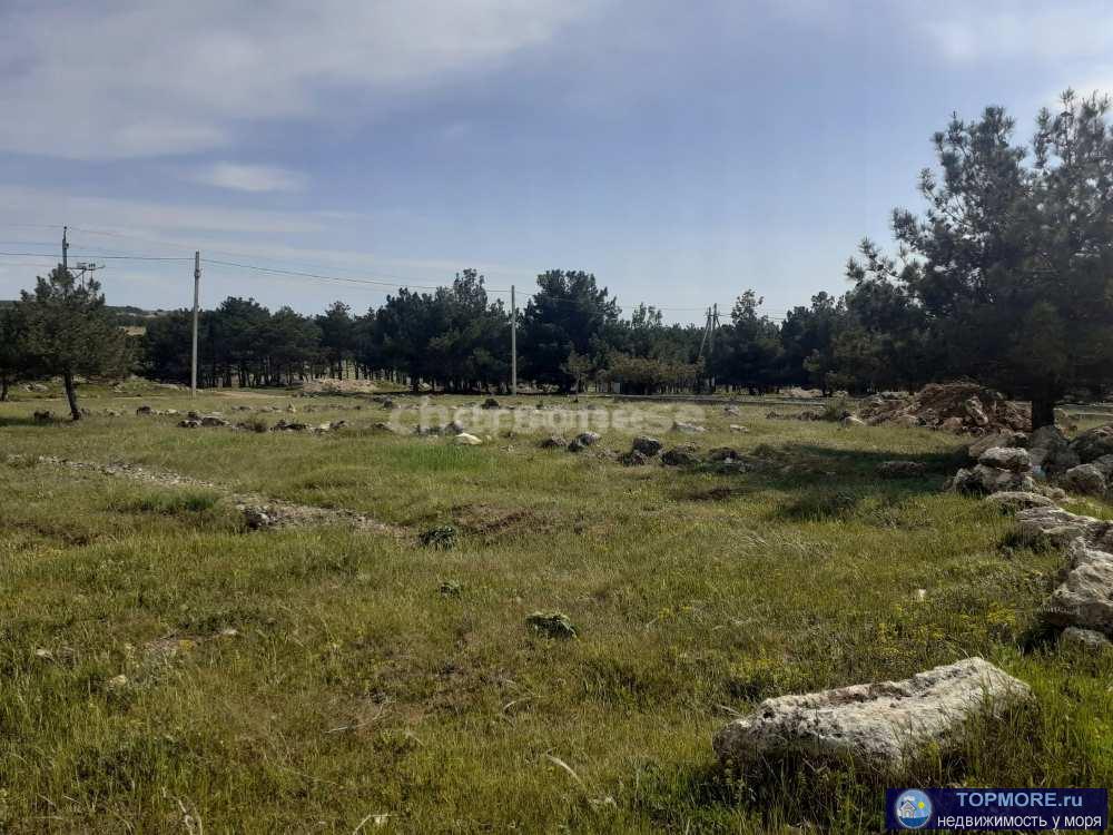 Продается участок 4 сотки в СНТ "Янтарь", Гагаринский район.   Участок ровный, пустой, прямоугольной формы....