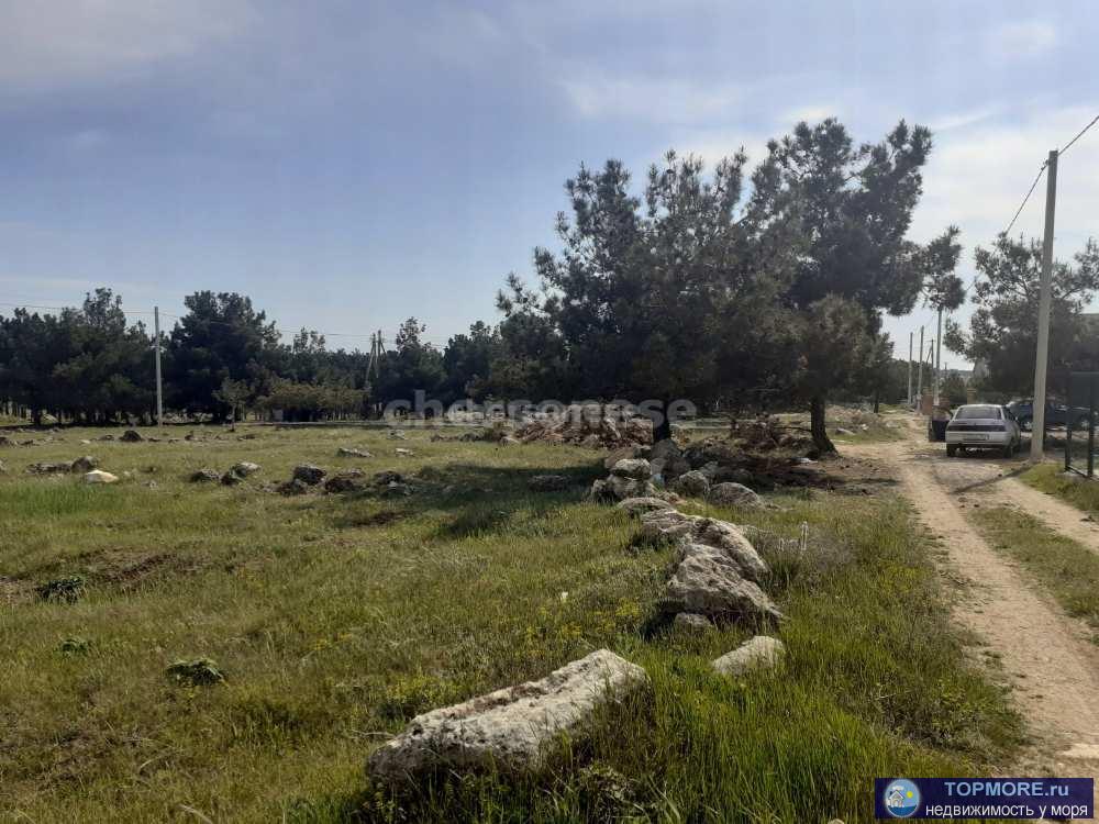 Продается участок 4 сотки в СНТ "Янтарь", Гагаринский район.   Участок ровный, пустой, прямоугольной формы.... - 2