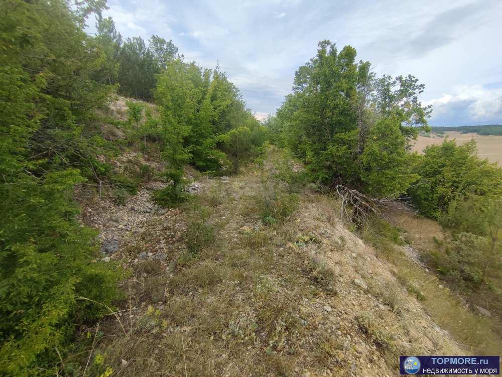 Продается видовой террасированный участок правильной формы в экологически чистом, развивающемся и тихом районе рядом... - 2