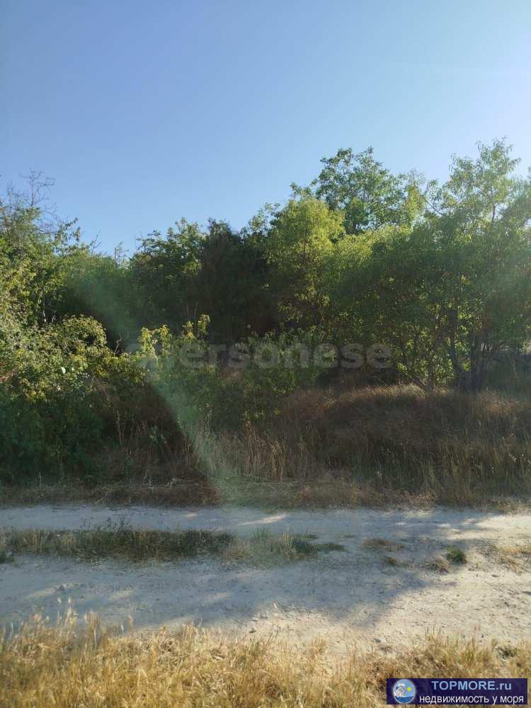 В продаже земельный участок с небольшим уклоном(практически ровный), назначение ИЖС с кадастровым номером... - 1