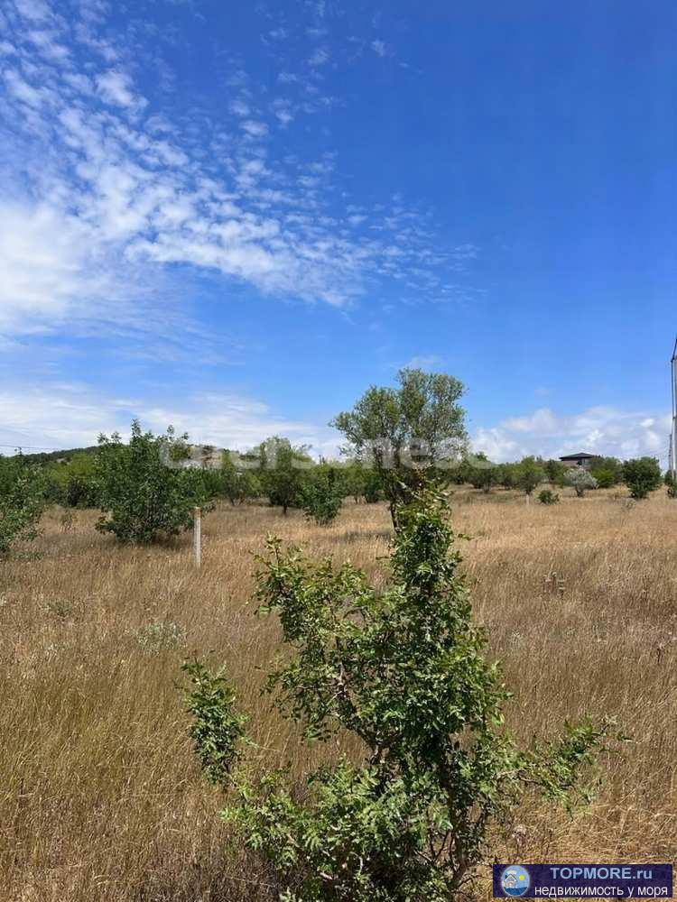 В продаже участок 5,3 сотки в курортном посёлке Любимовка, улица 2-я Линия. Участок ровный, прямоугольный, подойдет... - 1