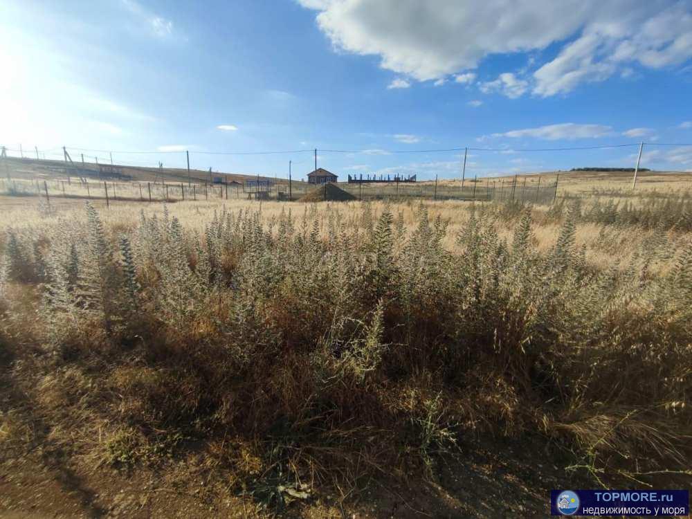 Продается участок в перспективном, быстро развивающемся поселке Осипенко с хорошо развитой инфраструктурой : школа,... - 2