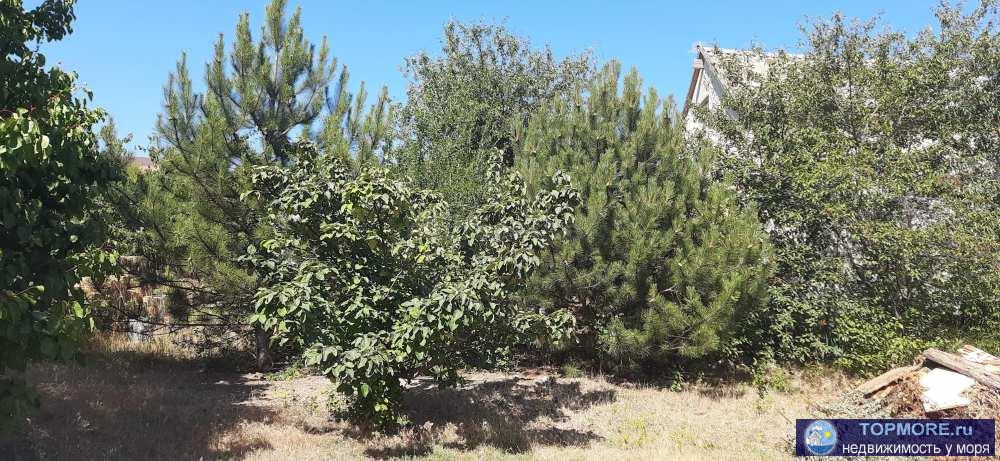 Объект № 75503  Продается большой ровный участок в СТ "Эллада" на Фиоленте.  Участок угловой 8,3 сотки... - 2