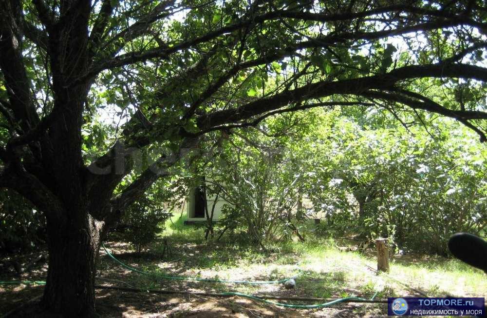  Общие характеристики участка  Прекрасный участок для садоводства, расположенный в тихом окружении, где сохраняется...