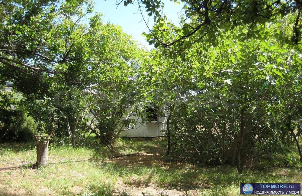  Общие характеристики участка  Прекрасный участок для садоводства, расположенный в тихом окружении, где сохраняется... - 2