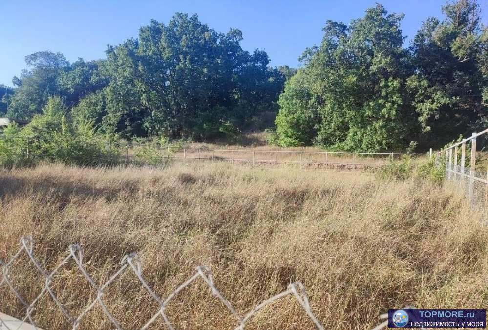 Продается участок сельхозназначения ,по генплану находится в зоне ИЖС.  Электричество идет по границе уже оплачено,...