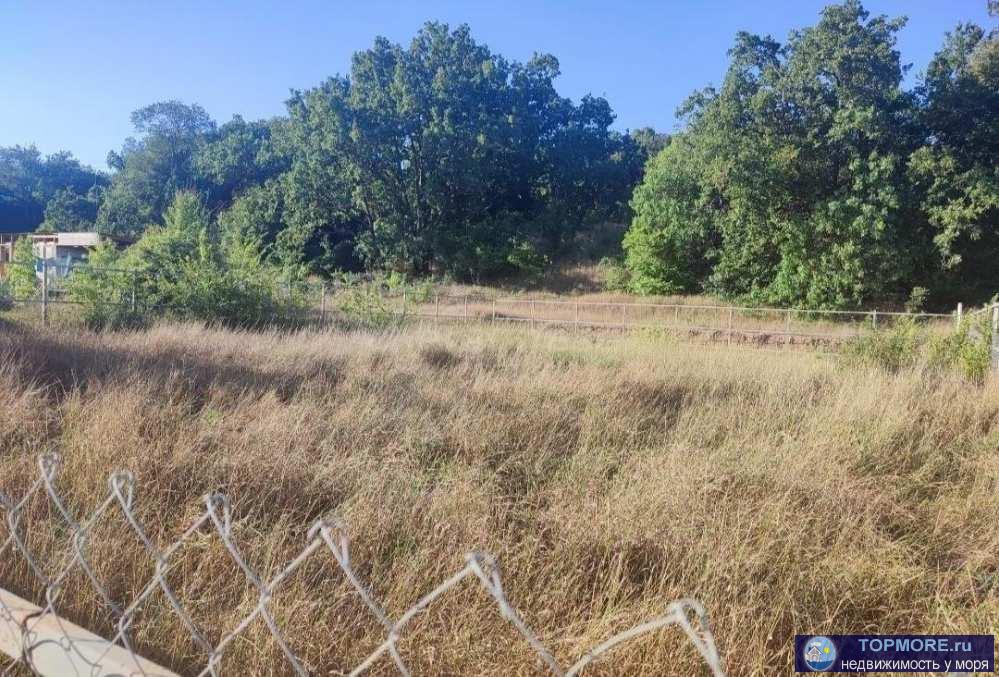 Продается участок сельхозназначения ,по генплану находится в зоне ИЖС.  Электричество идет по границе уже оплачено,... - 1