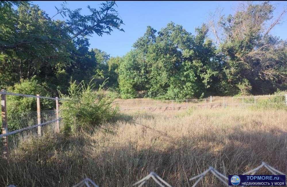 Продается участок сельхозназначения ,по генплану находится в зоне ИЖС.  Электричество идет по границе уже оплачено,... - 2