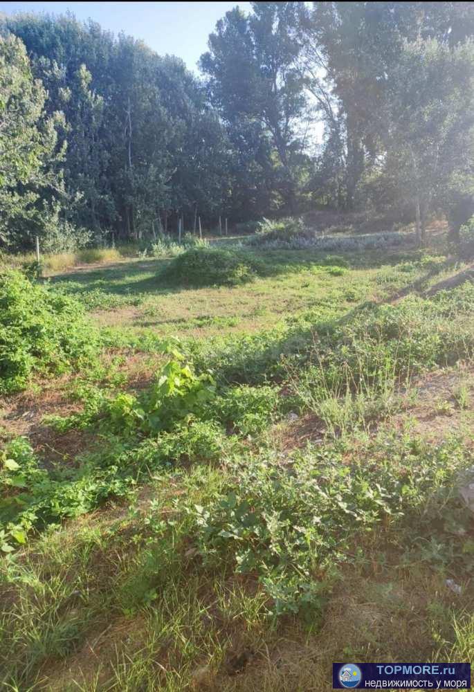 Продается участок в с.Вишневое с хорошо развитой инфраструктурой.К участку ведет асфальтированная дорога с... - 1