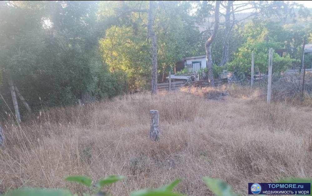 Продается земельный участок в с.Поворотное 14*46 м в экологически чистом районе рядом с сосновым лесом, большая...