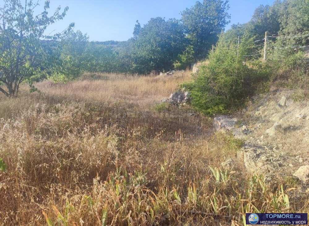 Продается угловой террасированный участок в СТ" Сельхозхимия" ,участок в частной собственности. Есть свежее... - 1