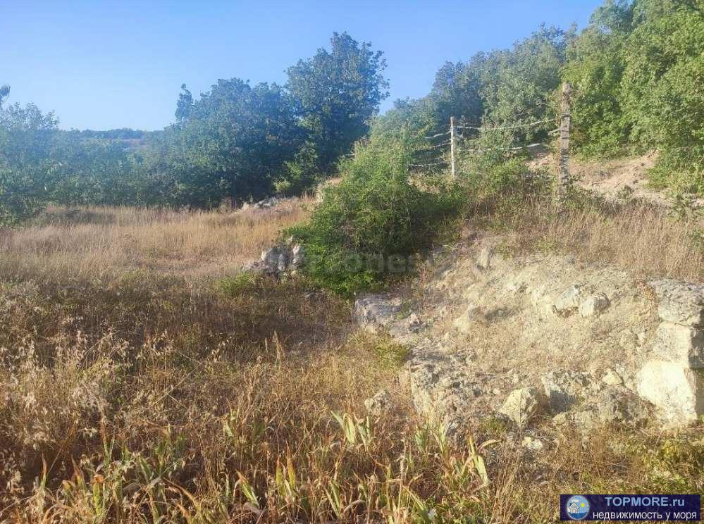 Продается угловой террасированный участок в СТ" Сельхозхимия" ,участок в частной собственности. Есть свежее... - 2