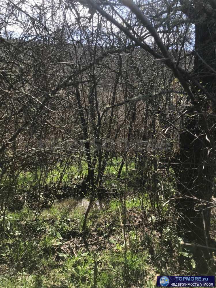 Объект № 75617  Продается большой видовой участок с небольшим уклоном. Расположен под горой возле леса, строится за... - 1