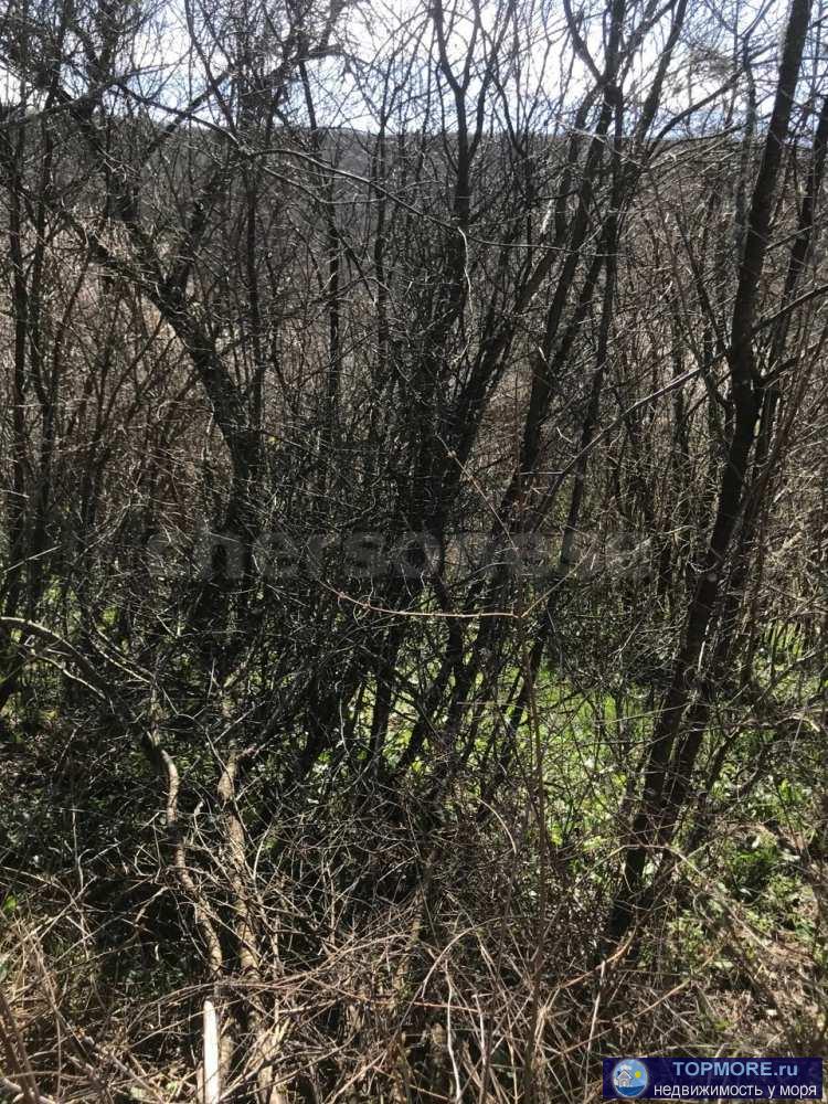 Объект № 75617  Продается большой видовой участок с небольшим уклоном. Расположен под горой возле леса, строится за... - 2