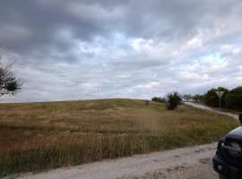 Предлагаем к продаже поле сельхоз назначения 1 га в Белогорском...