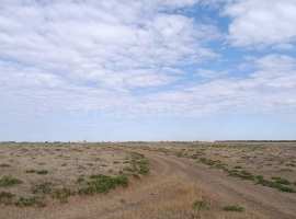 Предлагаем к продаже поле сельхоз назначения 6,9 га в...