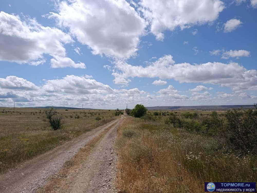 Предлагаем к продаже поле сельхоз назначения 20 га в Белогорском районе!  Отличное, ровное поле сельскохозяйственного... - 2