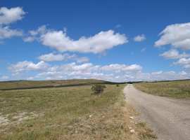 Предлагаем к продаже поле сельхоз назначения 20 га в Белогорском...