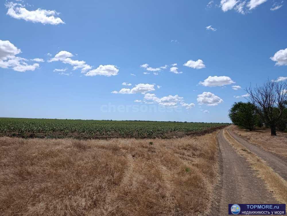 Предлагаем к продаже поле сельхоз назначения 6,6 га в Сакском районе!  Отличное, ровное поле сельскохозяйственного...