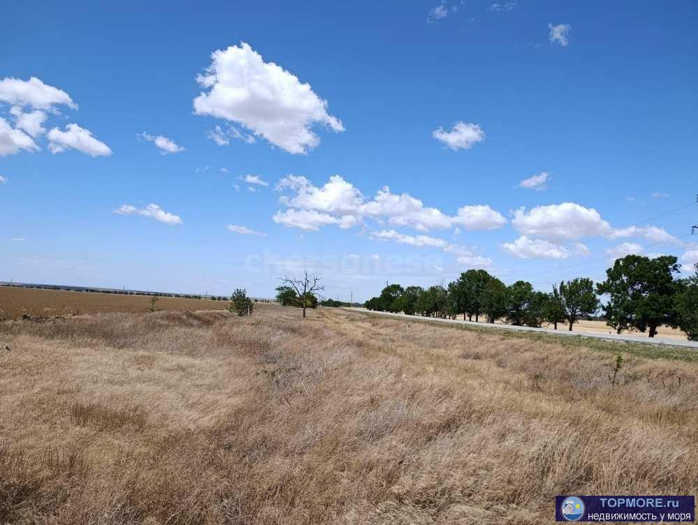 Предлагаем к продаже поле сельхоз назначения 6,6 га в Сакском районе!  Отличное, ровное поле сельскохозяйственного... - 1