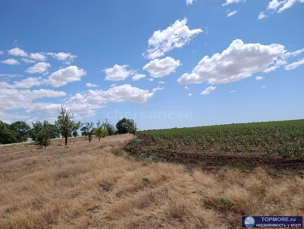 Предлагаем к продаже поле сельхоз назначения 6,6 га в Сакском районе!  Отличное, ровное поле сельскохозяйственного... - 2