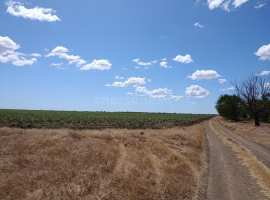 Предлагаем к продаже поле сельхоз назначения 6,6 га в Сакском...