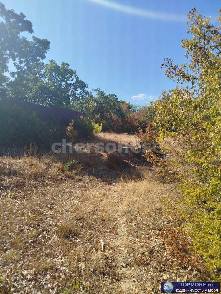 Объект № 75694  Участок в аренде на 20 лет  Адрес: Северная, Богданова, в районе СТ "Парус-4"... - 2