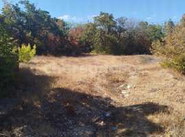 Объект № 75694

Участок в аренде на 20 лет

Адрес: Северная,...