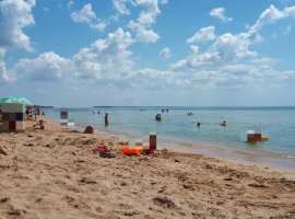 Продам: земельный участок общей площадью 100 соток. Расположение:...