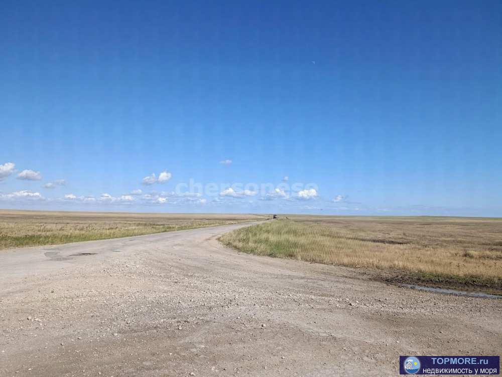 Продается земельный участок сельхозназначения площадью 12,4 гектар!   Участок расположен в спокойном и экологически... - 1