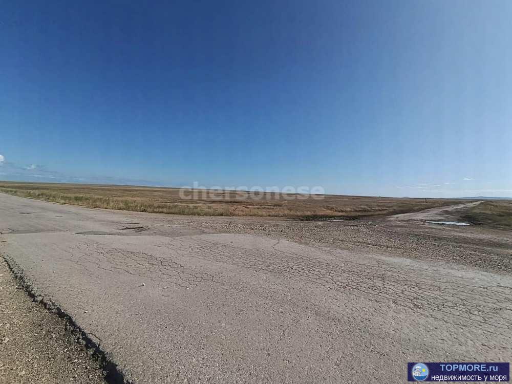 Продается земельный участок сельхозназначения площадью 12,4 гектар!   Участок расположен в спокойном и экологически... - 2