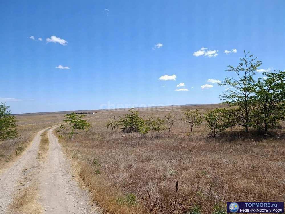 Продается земельный участок сельхозназначения площадью 49 соток!    Расположение и инфраструктура: Участок расположен...