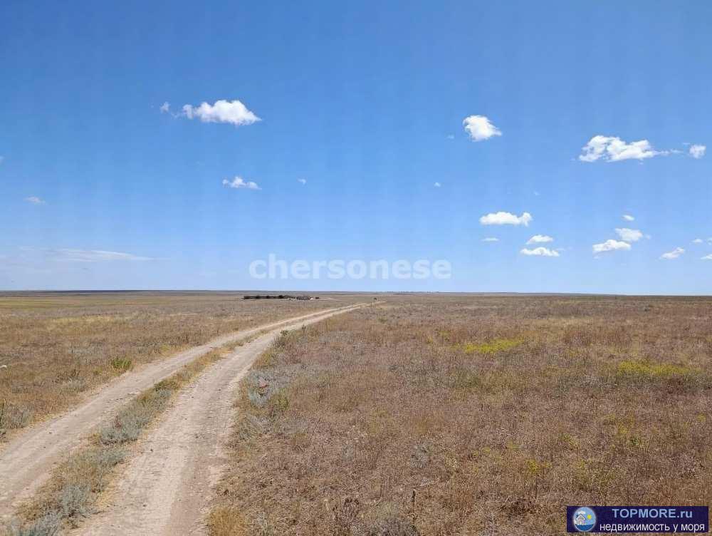 Продается земельный участок сельхозназначения площадью 49 соток!    Расположение и инфраструктура: Участок расположен... - 2