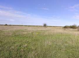 Описание участка

Участок площадью 7,5 соток подходит для...