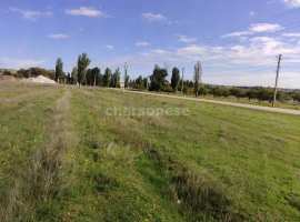 Общие характеристики участка

Участок площадью 4 сотки расположен в...