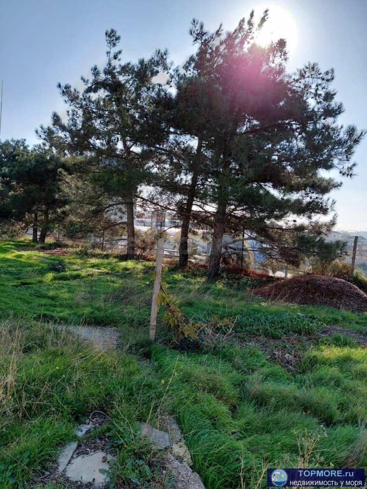 Объект Предлагается к продаже участок под индивидуальное жилищное строительство (ИЖС) площадью 11 соток. Отличный... - 2