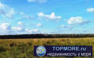 Продаётся ровный земельный участок 5 соток  в Гагаринском районе города Севастополя. Хорошее перспективное место в... - 2