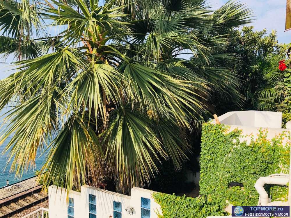 Представляем Вам элитный эллинг в Сочи по самой выгодной на сегодняшний день цене! Без линей скромности отметим, что... - 2