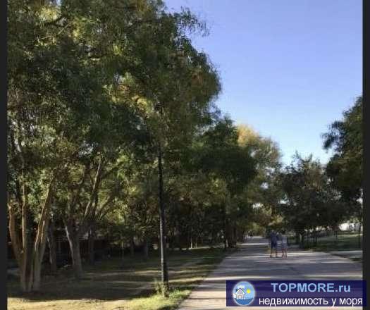 Продаётся квартира,три балкона,автономное отопление,счетчики на все коммуникации.Состояние жилое.Можно сделать ремонт... - 1