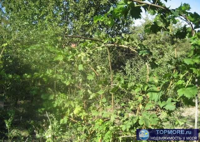 Продается земельный участок 14 соток в г. Феодосия, по ул Виноградная. Расположен в тихом и живописном...