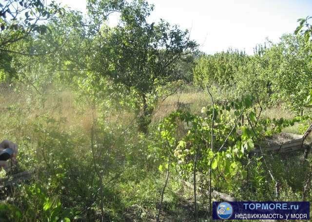 Продается земельный участок 14 соток в г. Феодосия, по ул Виноградная. Расположен в тихом и живописном... - 2