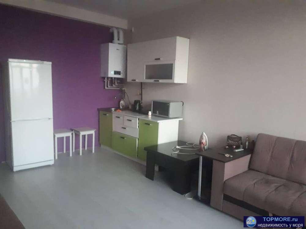 Продается квартира-студия в ЖК Санни Хилл. Светлая,уютная.Выполнен качественный ремонт.Мебель,техника-все остается.... - 2